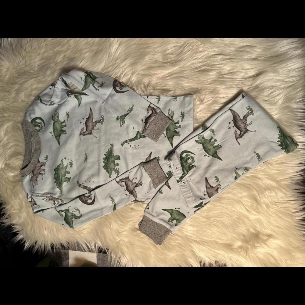 Burt's Bees Kids Dinosaur Pajama Set - Size 4T